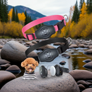 Coleira de Cachorro Para o Rastreador AirTag Android  bluetooth Find