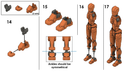 Boneco Articulado Dummy 13 Alta Precisão Acabamento Premium