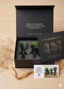 Conjunto Vaso Robert Plant  Personagens "Plant Buddy" Design Exclusivo