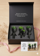 Conjunto Vaso Robert Plant  Personagens "Plant Buddy" Design Exclusivo