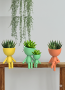 Conjunto Vaso Robert Plant  Personagens "Plant Buddy" Design Exclusivo