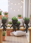 Conjunto Vaso Robert Plant  Personagens "Plant Buddy" Design Exclusivo