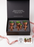 Conjunto Vaso Robert Plant  Personagens "Plant Buddy" Design Exclusivo