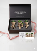 Conjunto Vaso Robert Plant  Personagens "Plant Buddy" Design Exclusivo