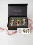 Conjunto Vaso Robert Plant  Personagens "Plant Buddy" Design Exclusivo