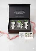 Conjunto Vaso Robert Plant  Personagens "Plant Buddy" Design Exclusivo