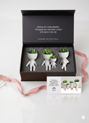 Conjunto Vaso Robert Plant  Personagens "Plant Buddy" Design Exclusivo