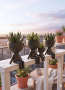 Conjunto Vaso Robert Plant  Personagens "Plant Buddy" Design Exclusivo