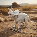 Triceratops Brinquedo Articulado 3d Para Pintar Design Webshopfy